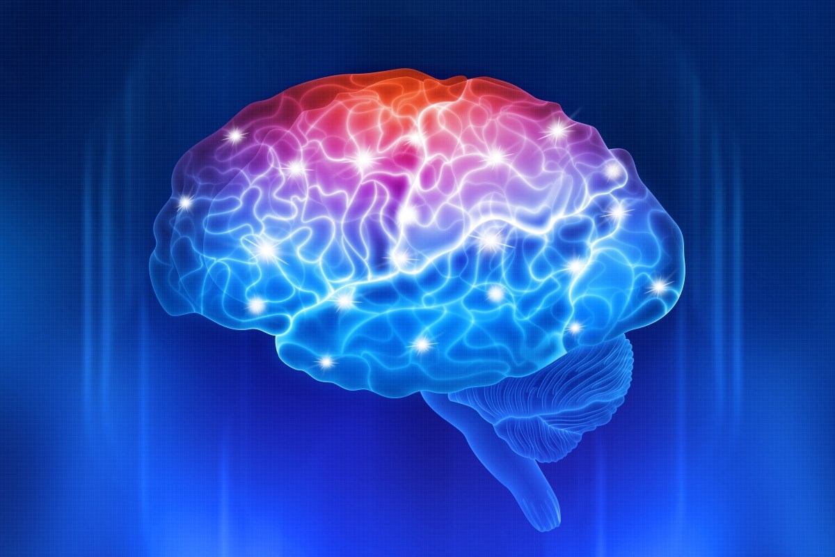 Diet and Brain
