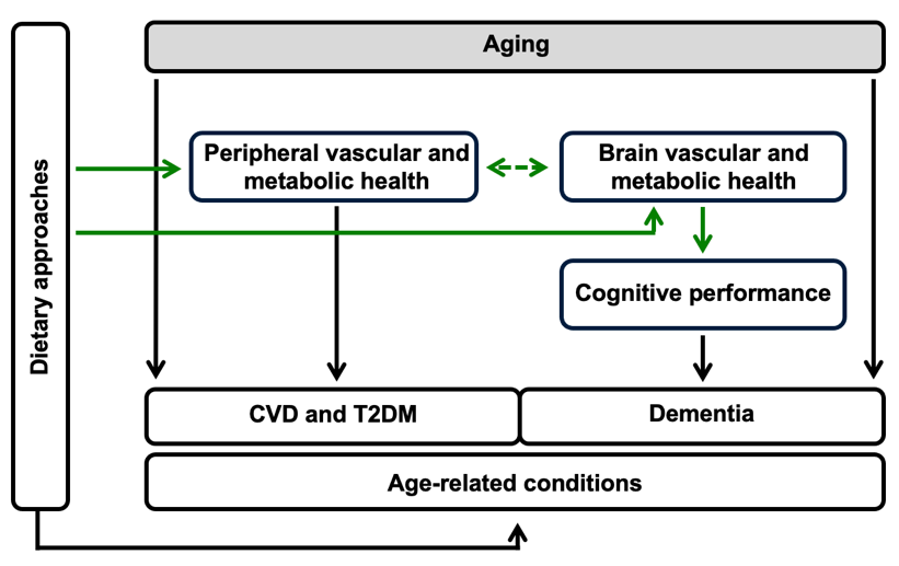 %learn about nutrition mental health %The Center for Nutritional Psychology