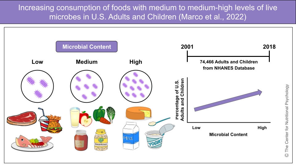 %learn about nutrition mental health %The Center for Nutritional Psychology