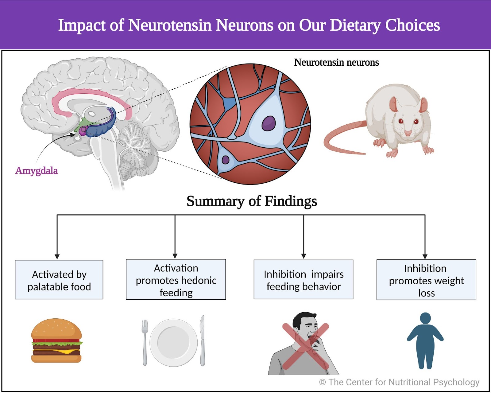 %learn about nutrition mental health %The Center for Nutritional Psychology