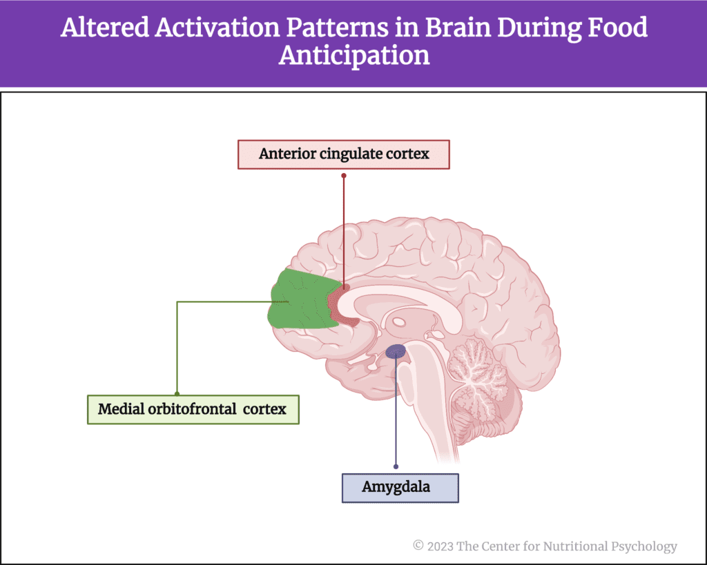 %learn about nutrition mental health %The Center for Nutritional Psychology