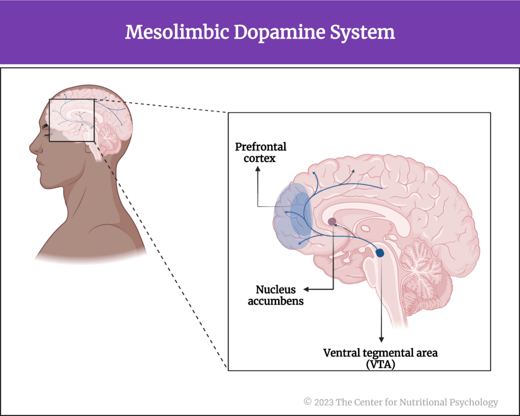 %learn about nutrition mental health %The Center for Nutritional Psychology