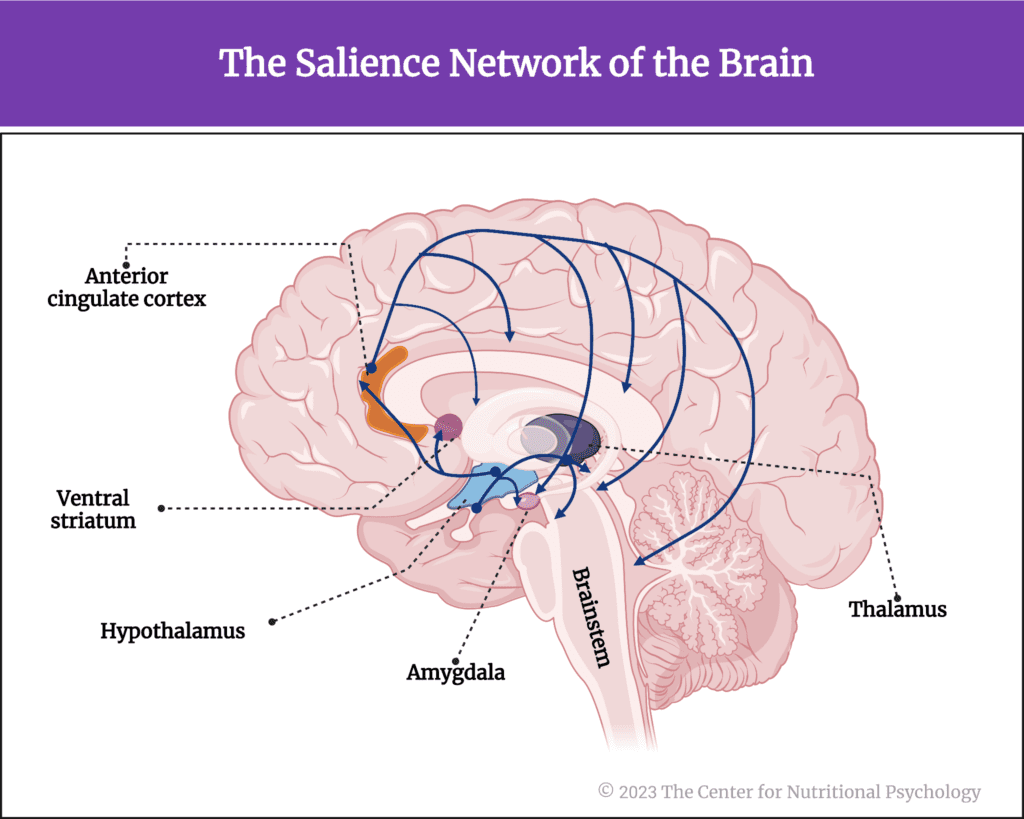 %learn about nutrition mental health %The Center for Nutritional Psychology