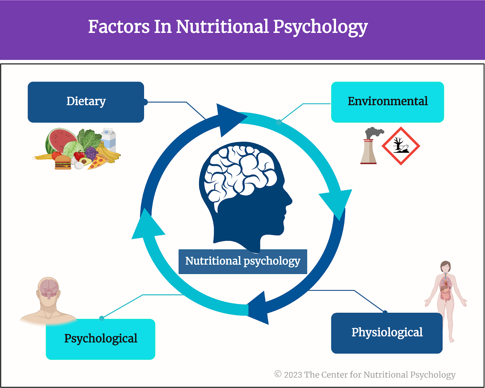 %learn about nutrition mental health %The Center for Nutritional Psychology