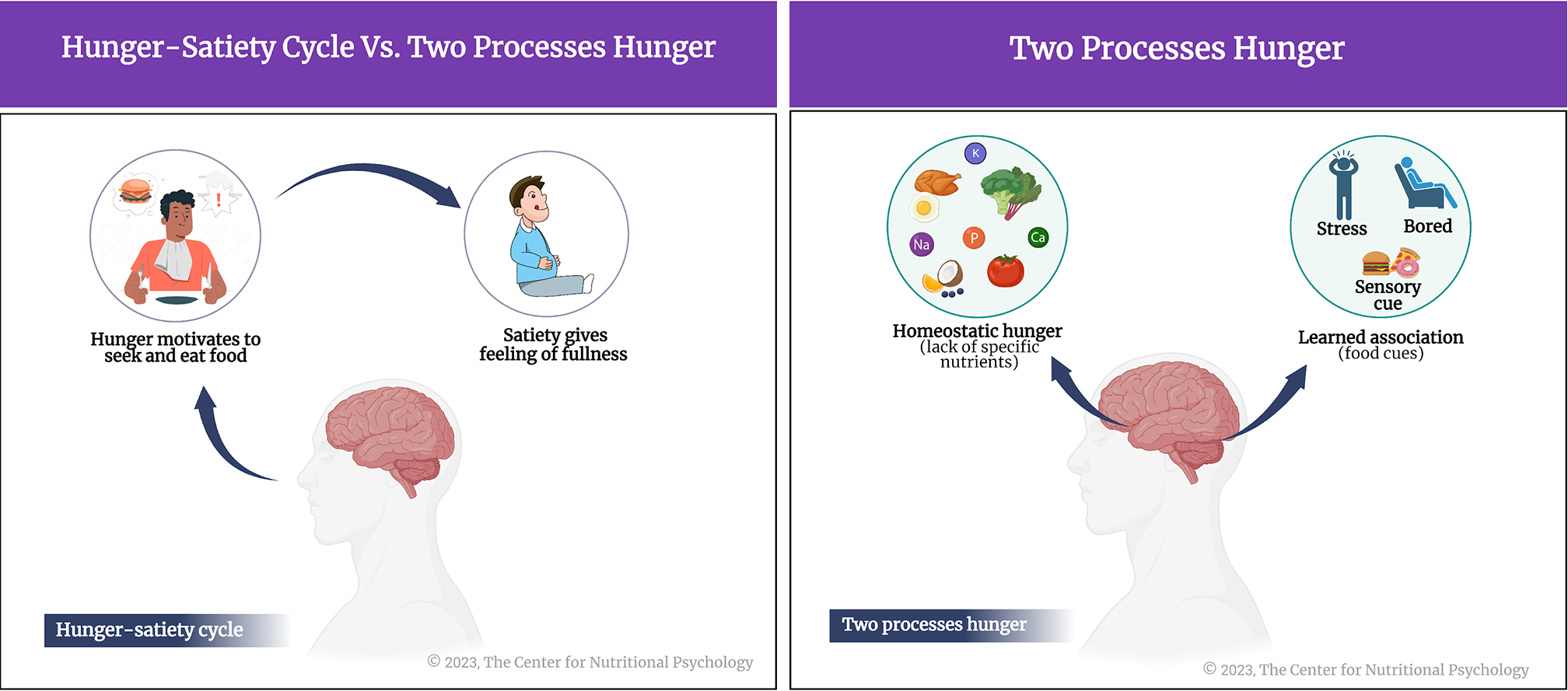 %learn about nutrition mental health %The Center for Nutritional Psychology