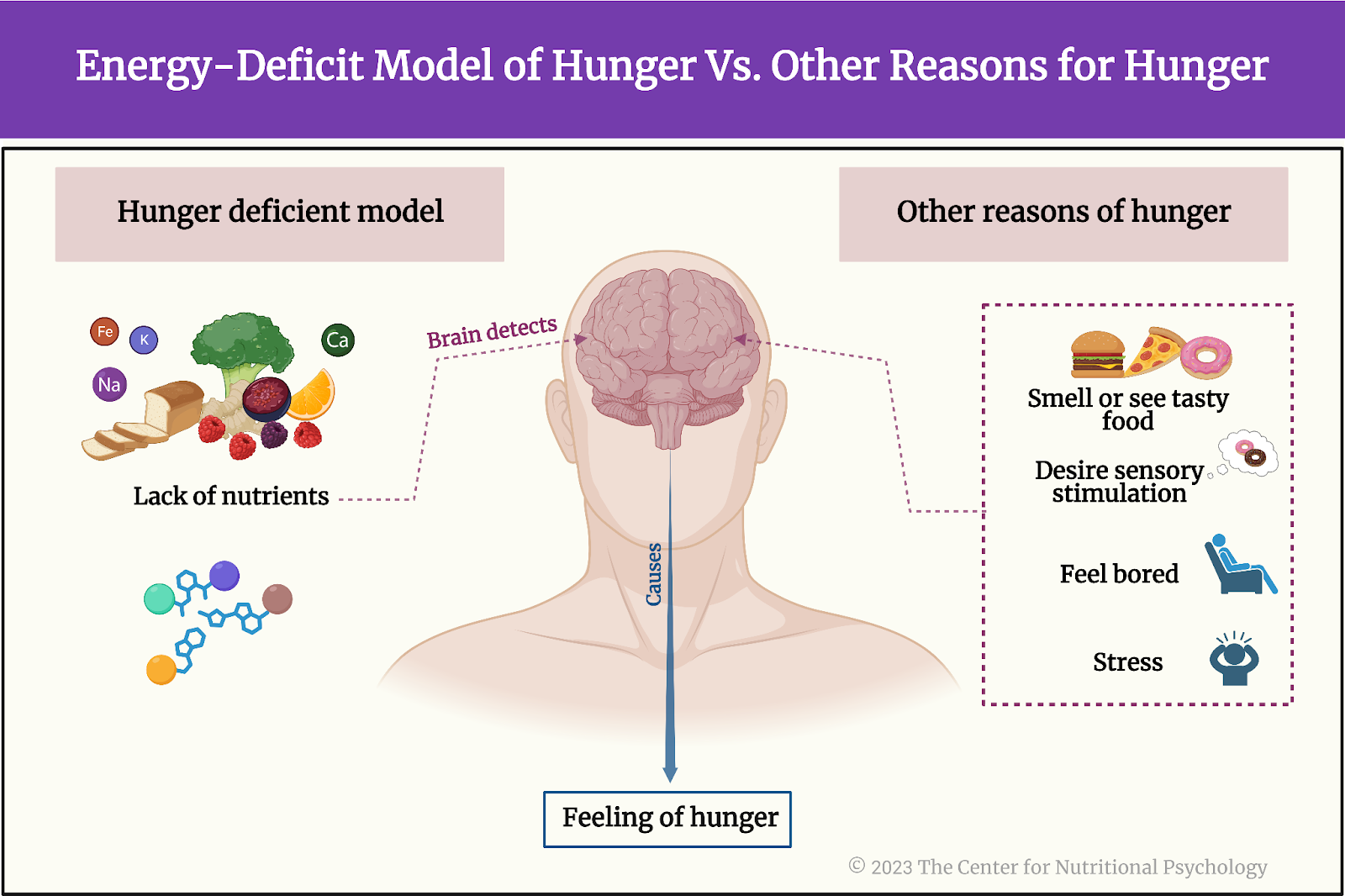 %learn about nutrition mental health %The Center for Nutritional Psychology