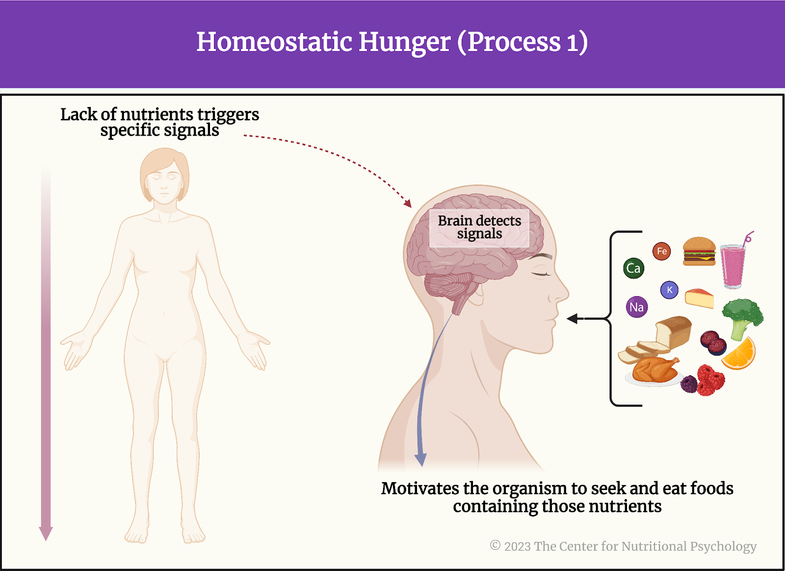 %learn about nutrition mental health %The Center for Nutritional Psychology