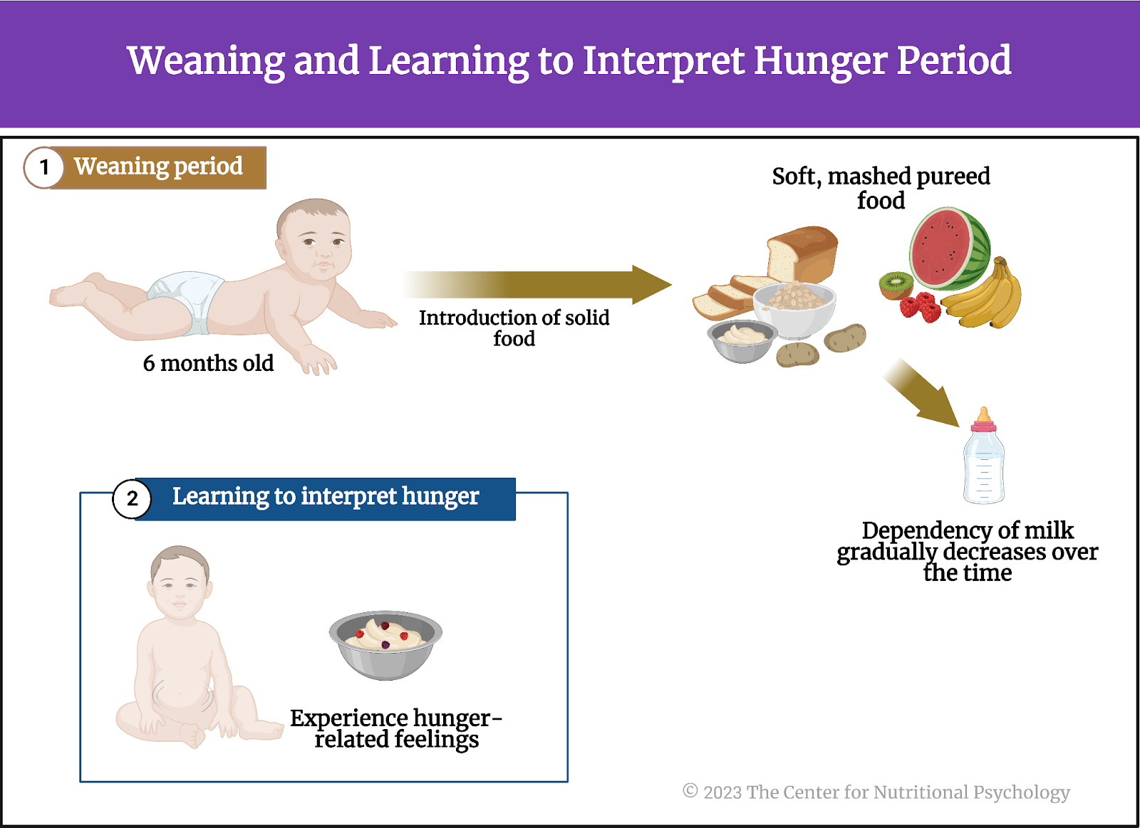 %learn about nutrition mental health %The Center for Nutritional Psychology