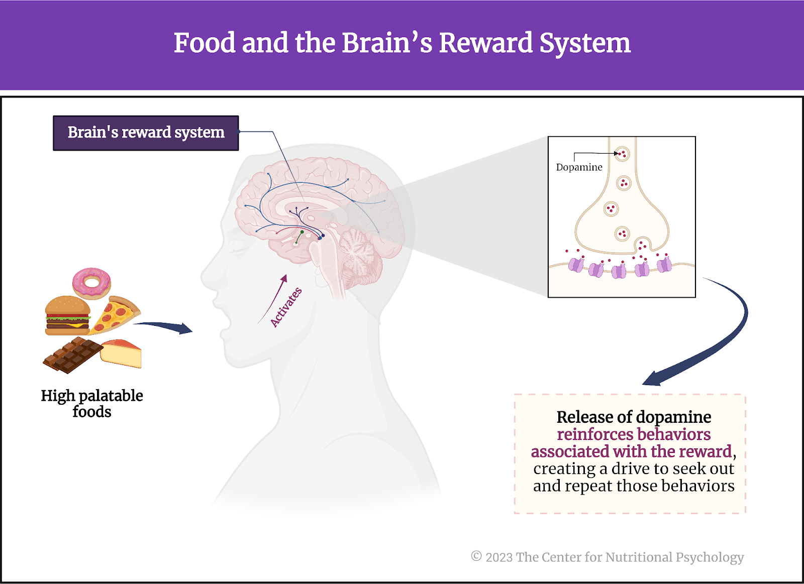 %learn about nutrition mental health %The Center for Nutritional Psychology