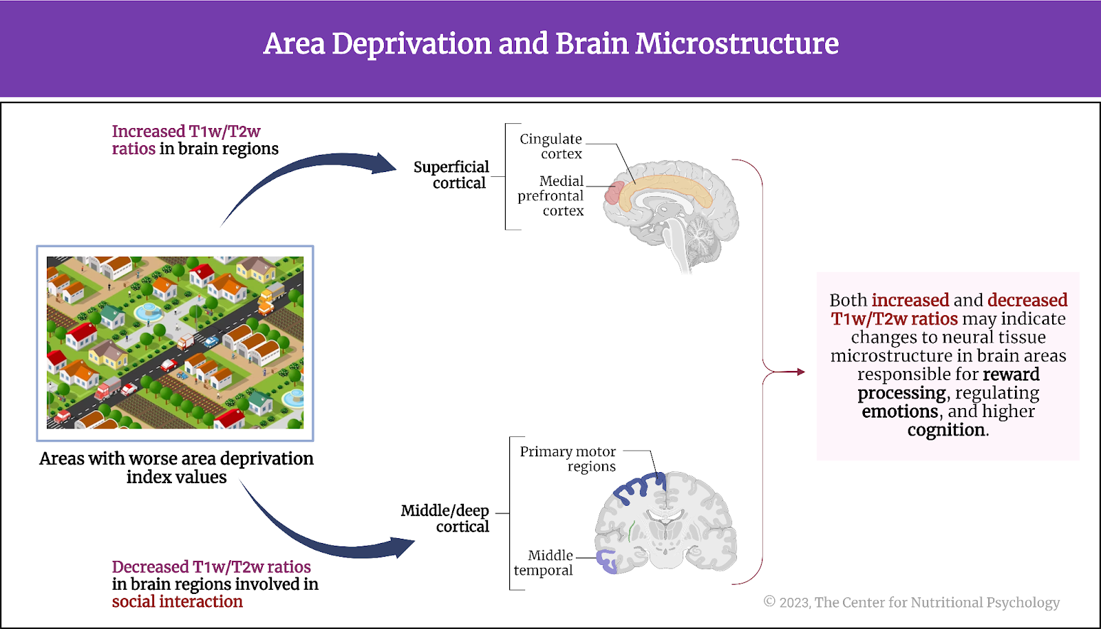 %learn about nutrition mental health %The Center for Nutritional Psychology