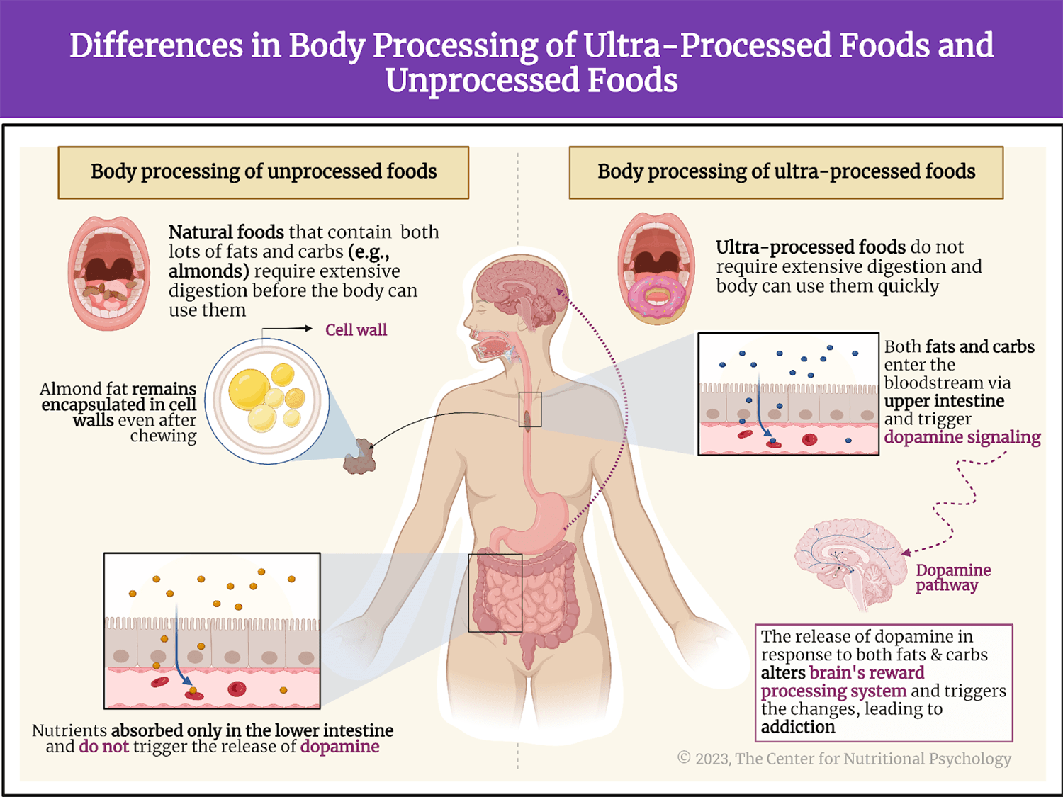 %learn about nutrition mental health %The Center for Nutritional Psychology