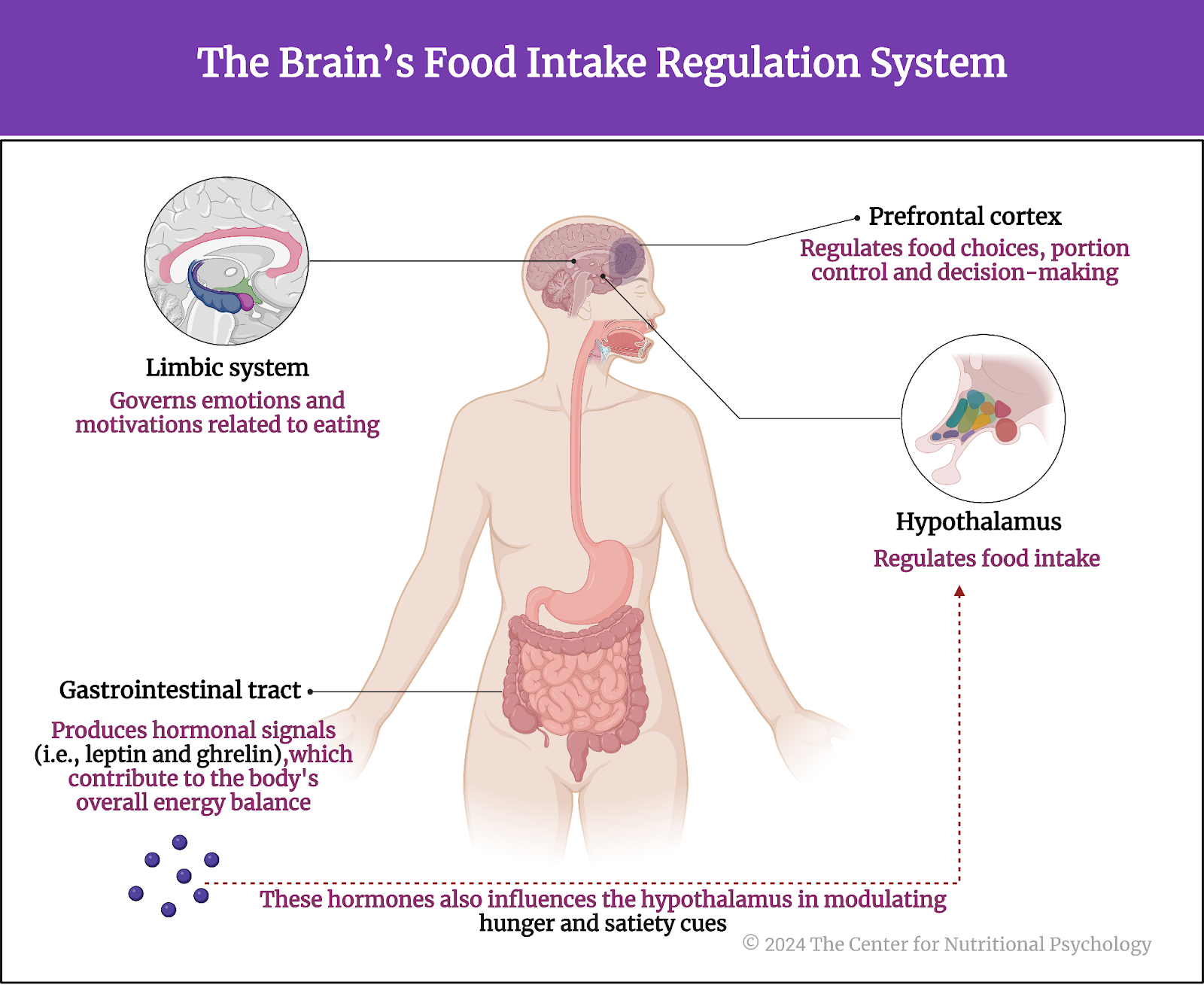 %learn about nutrition mental health %The Center for Nutritional Psychology