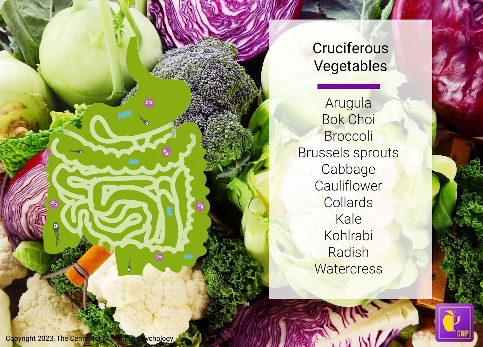 %learn about nutrition mental health %The Center for Nutritional Psychology