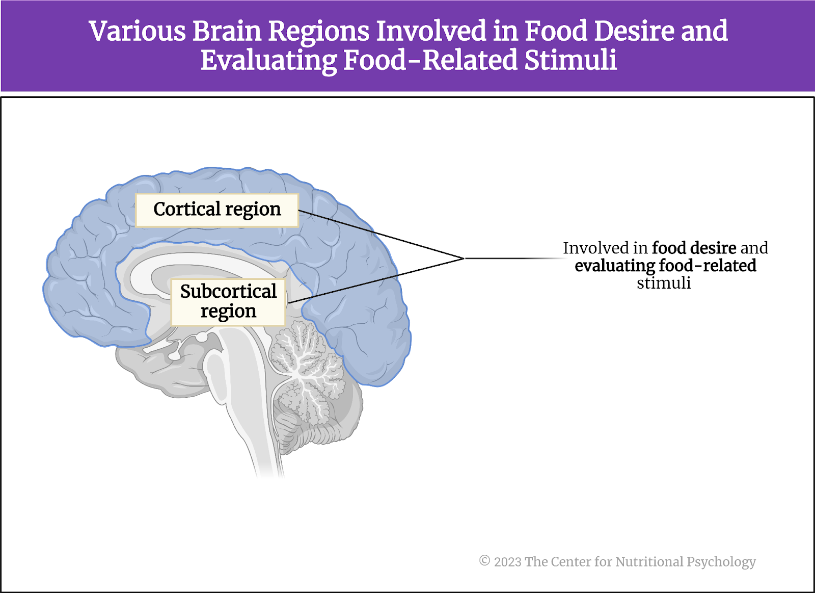 %learn about nutrition mental health %The Center for Nutritional Psychology