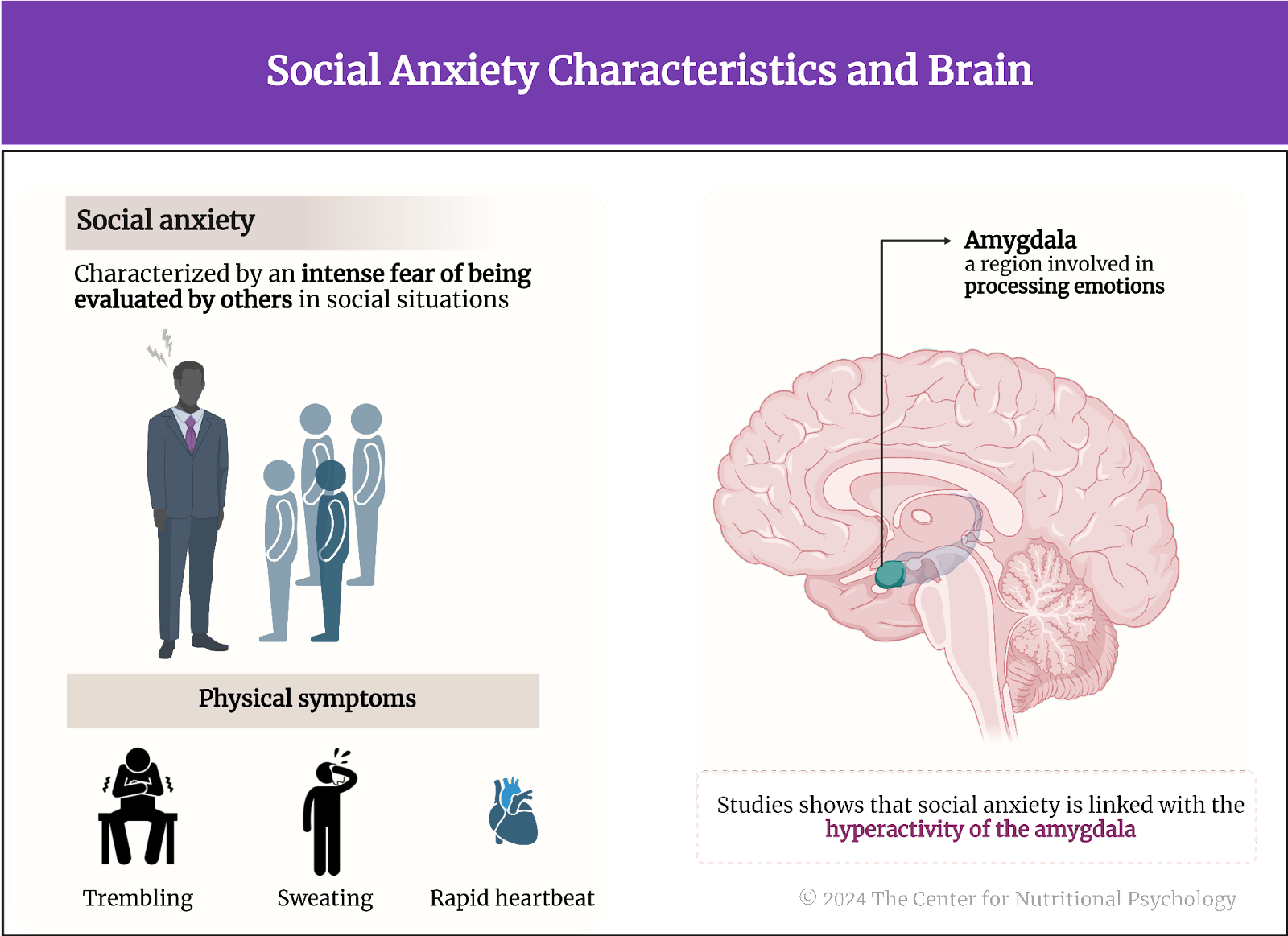 %learn about nutrition mental health %The Center for Nutritional Psychology