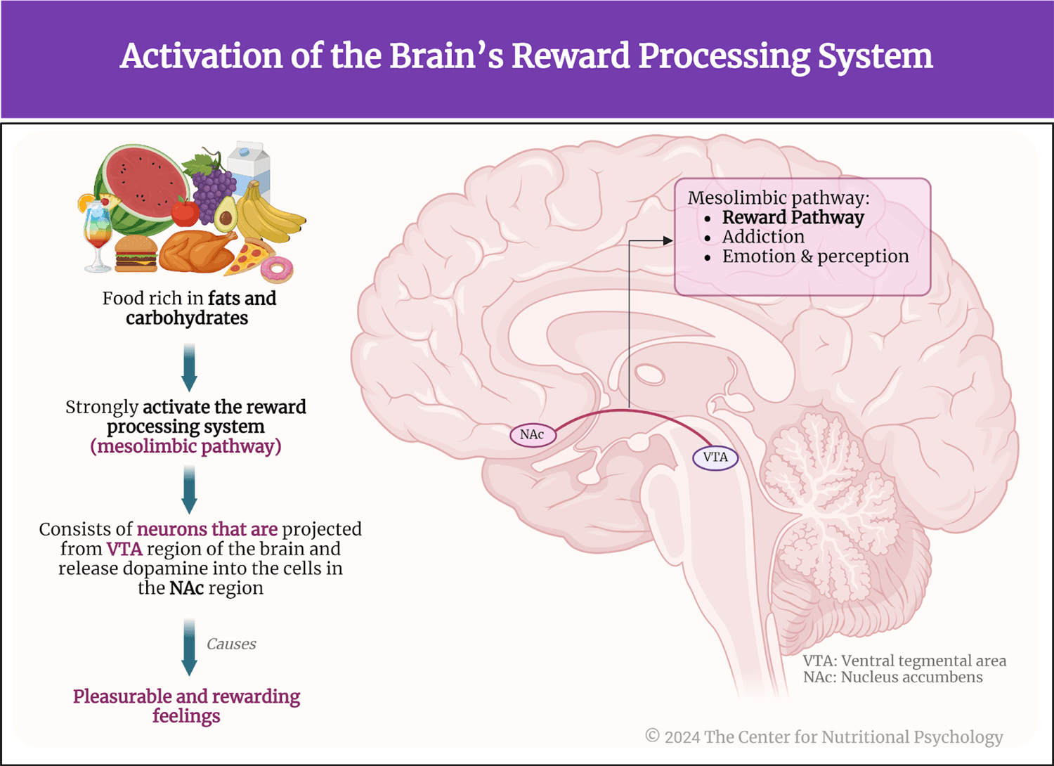 %learn about nutrition mental health %The Center for Nutritional Psychology