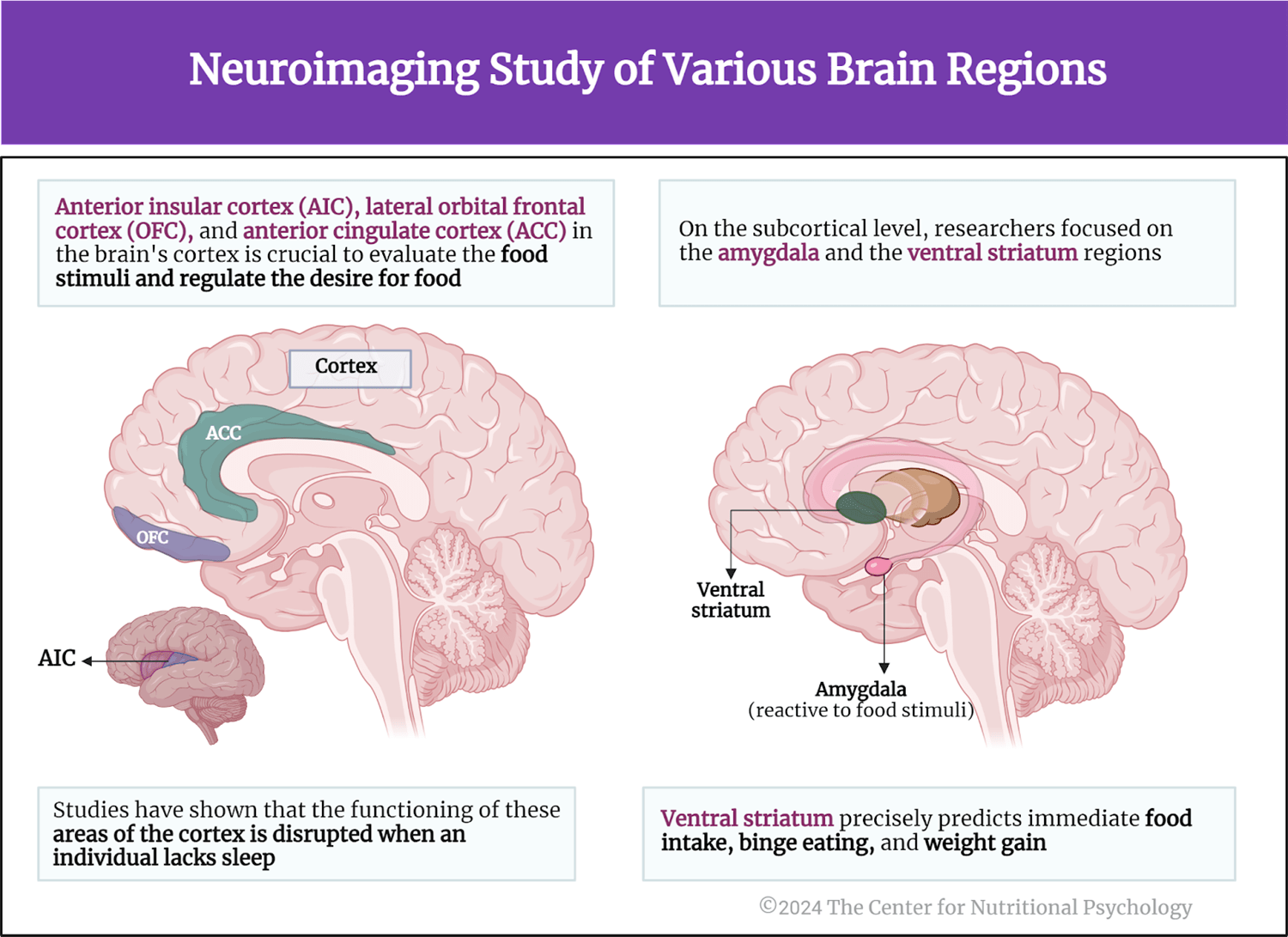%learn about nutrition mental health %The Center for Nutritional Psychology