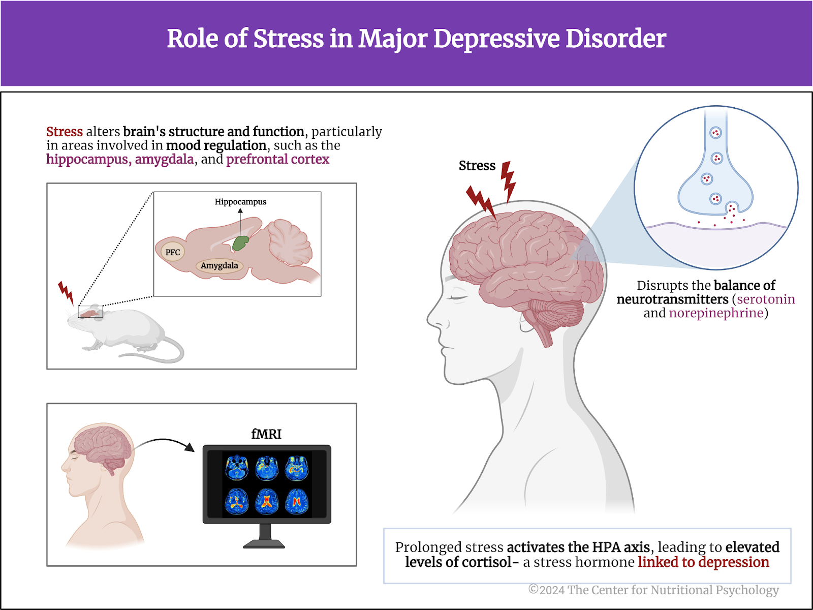 %learn about nutrition mental health %The Center for Nutritional Psychology