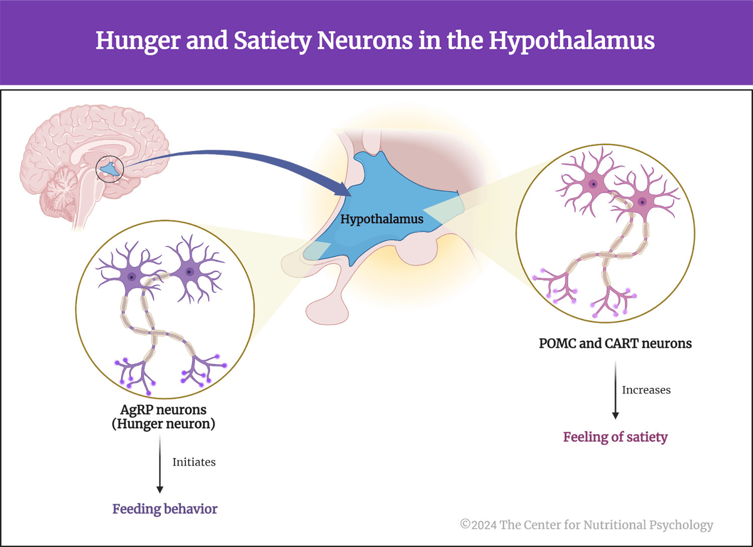 %learn about nutrition mental health %The Center for Nutritional Psychology