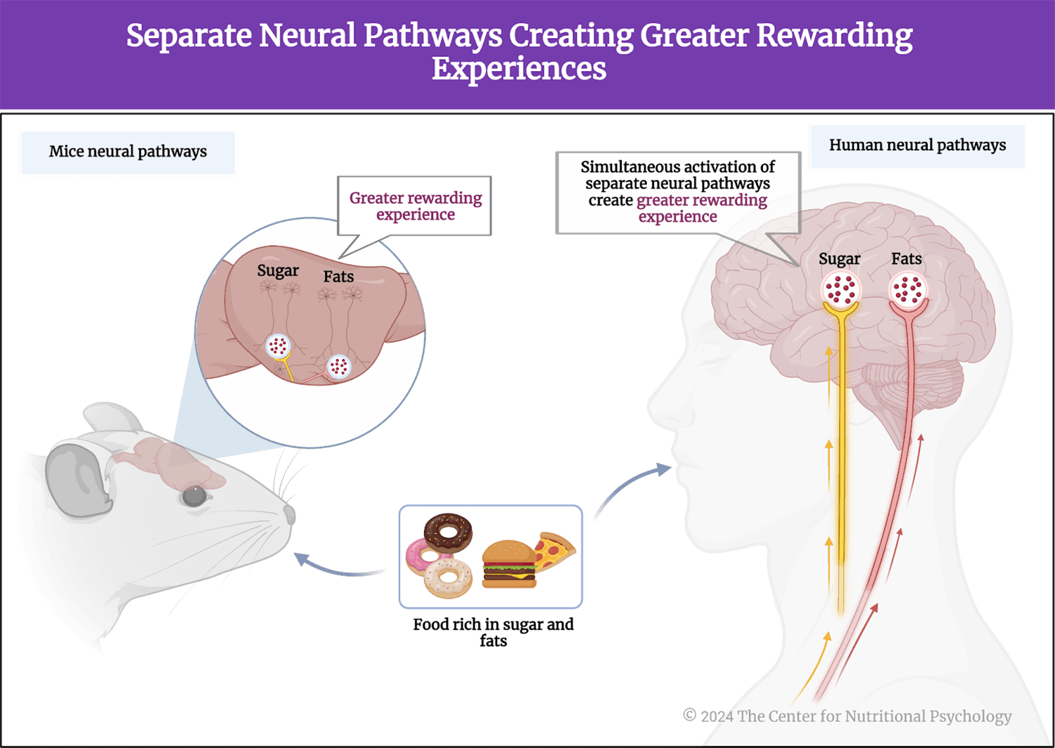 %learn about nutrition mental health %The Center for Nutritional Psychology