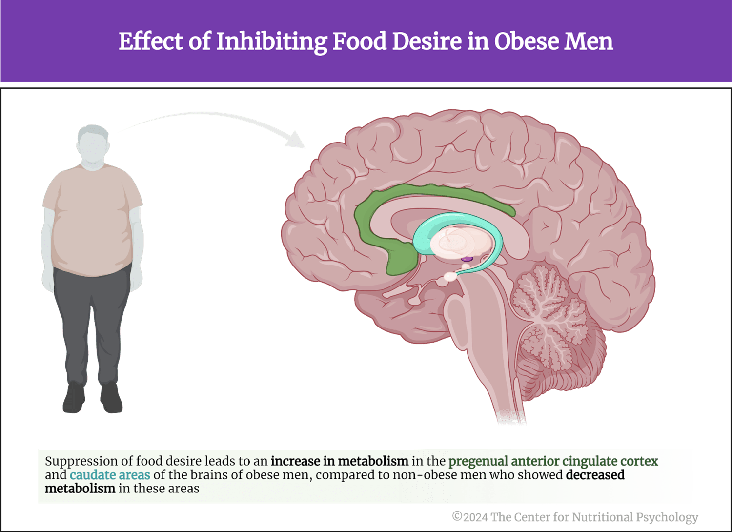 %learn about nutrition mental health %The Center for Nutritional Psychology
