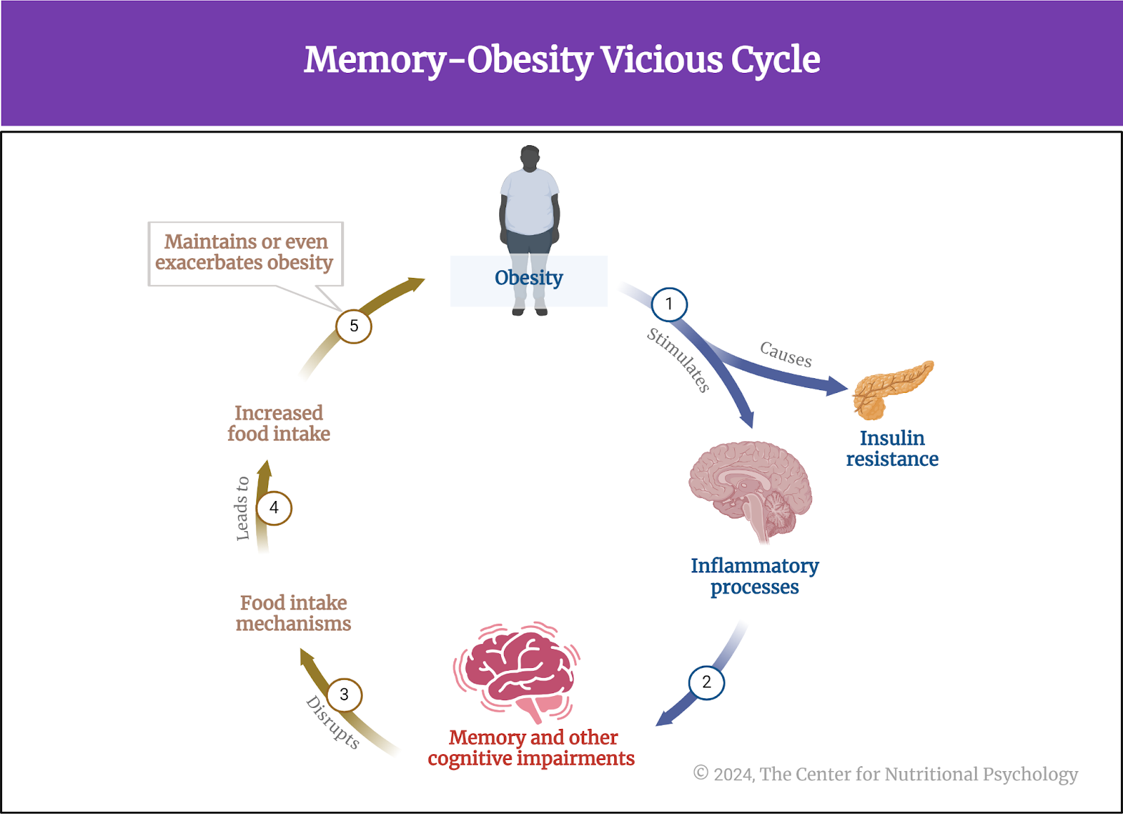 %learn about nutrition mental health %The Center for Nutritional Psychology