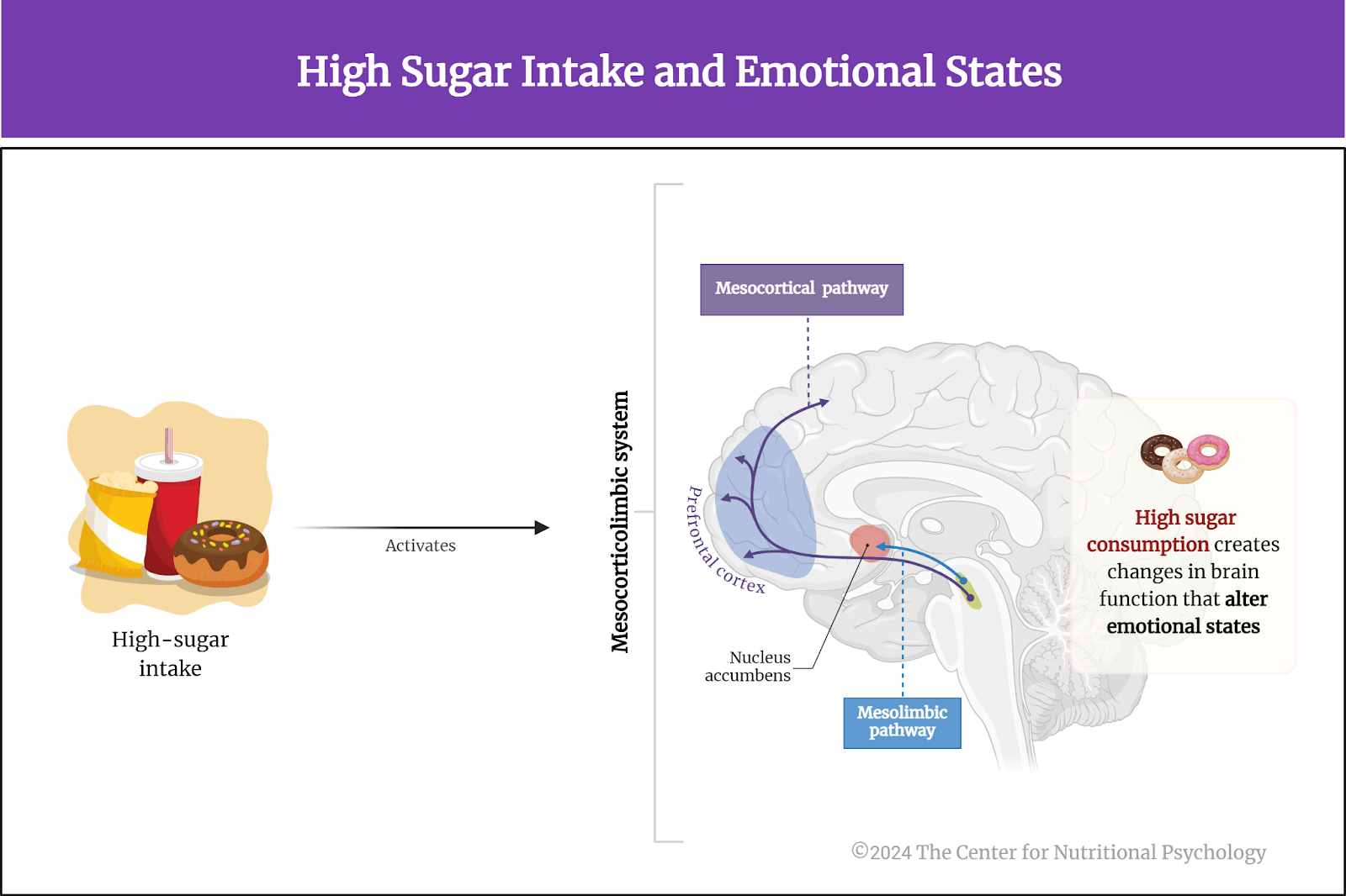 %learn about nutrition mental health %The Center for Nutritional Psychology