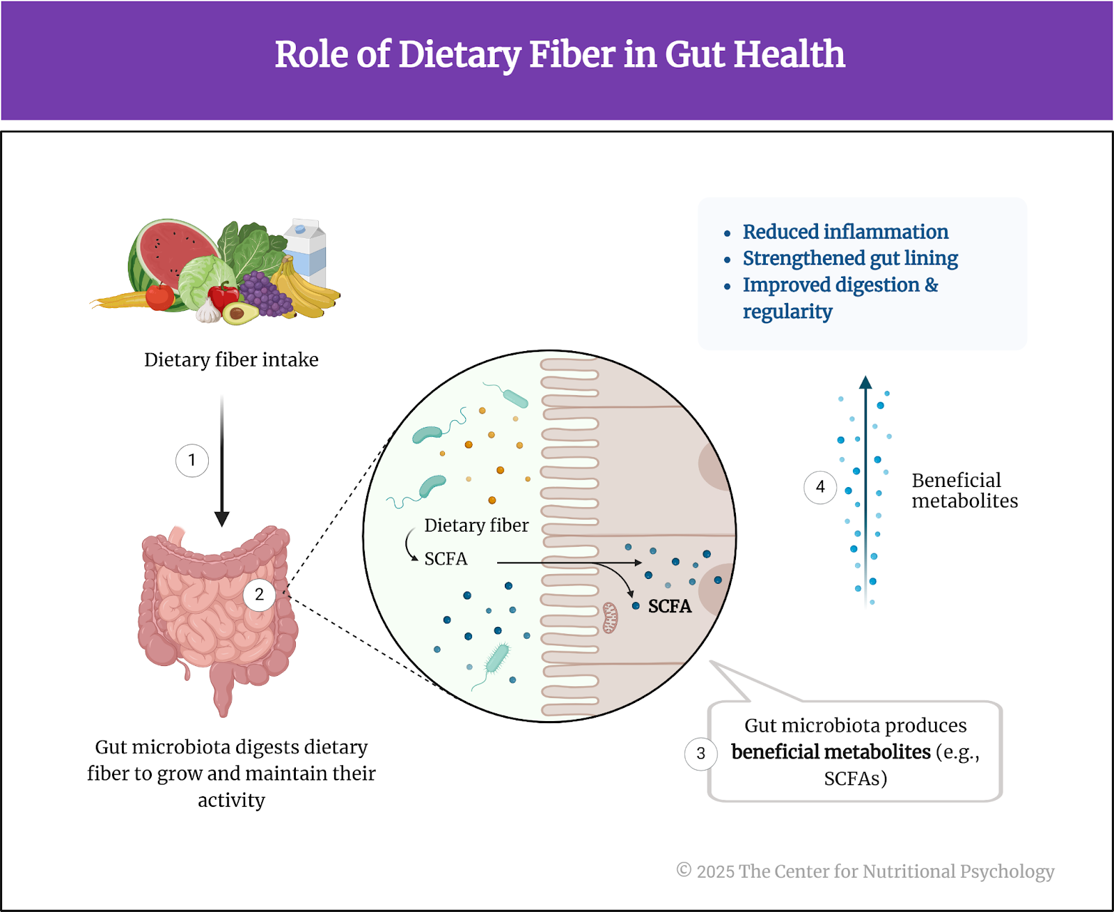 %learn about nutrition mental health %The Center for Nutritional Psychology