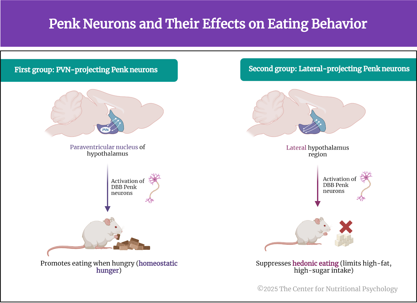 %learn about nutrition mental health %The Center for Nutritional Psychology